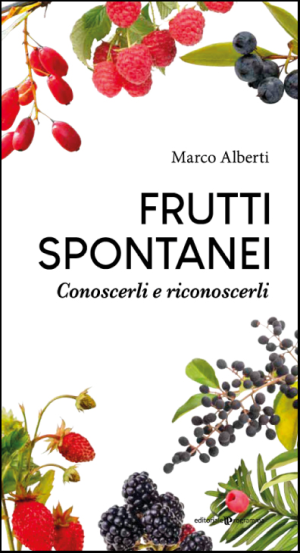 Frutti spontanei. Conoscerli e riconoscerli.