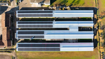 Bando Agrisolare: pensa a tutto Gandellini Beniamino